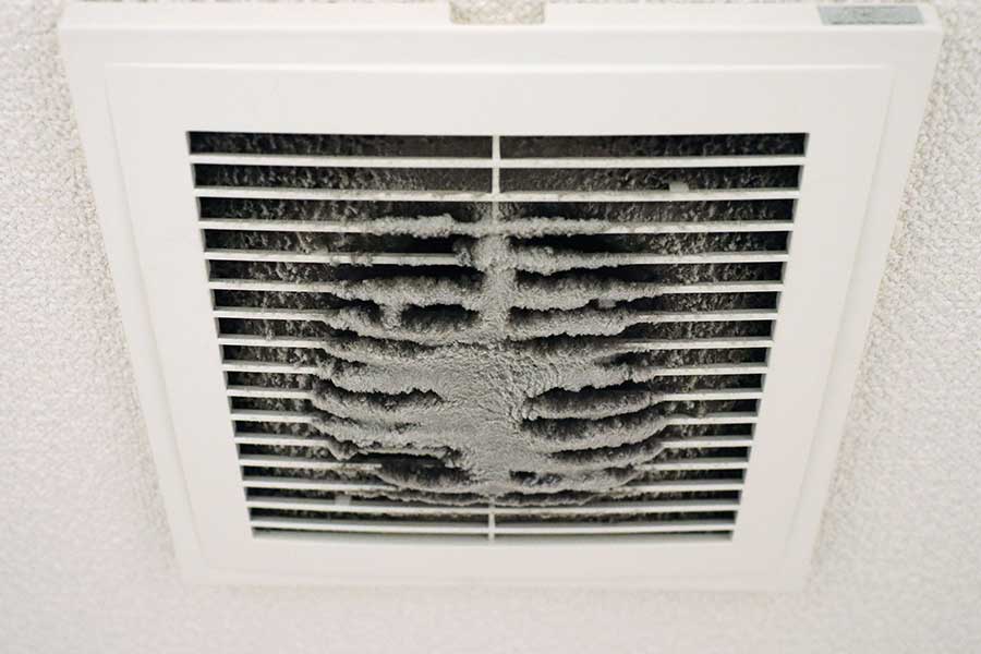 Expert IAQ Services in Tempe